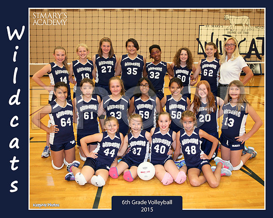 MS VB 6th  8x10