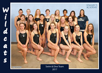 2017 High School Swim Team
