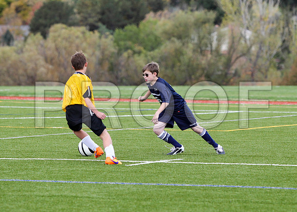 Flynn 0287