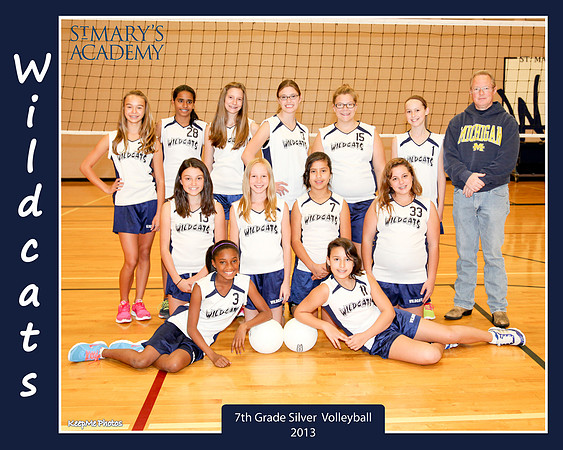 VB 7SilvTeam 8x10 copy