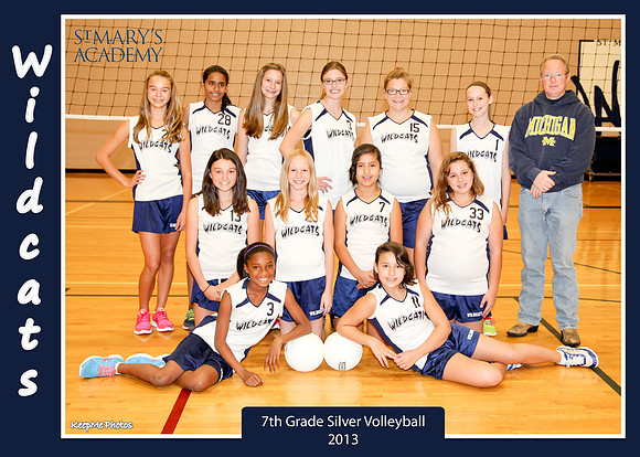 VB 7Silv Team 5x7 copy
