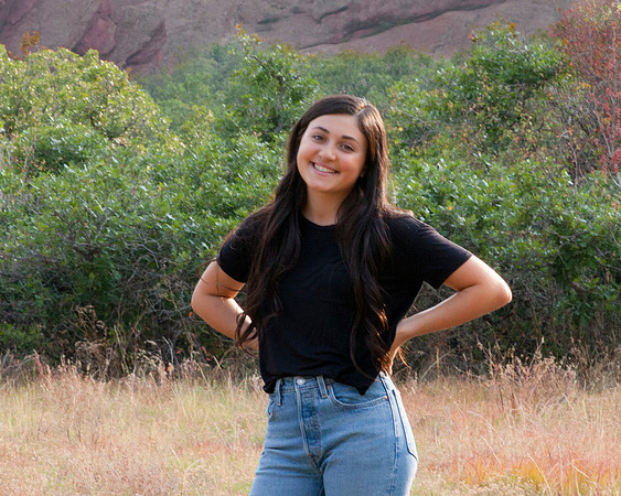 5381 crop